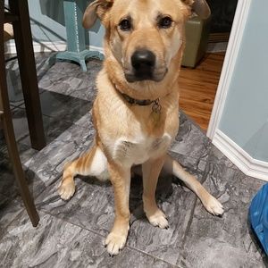 Meet your Posher, Sherry